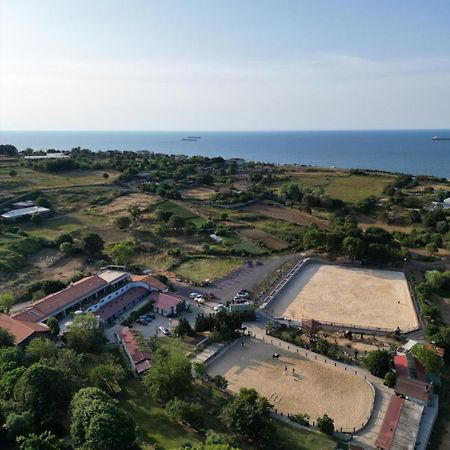 Mavi At Hotel Blue Horse Gumusdere Kültér fotó