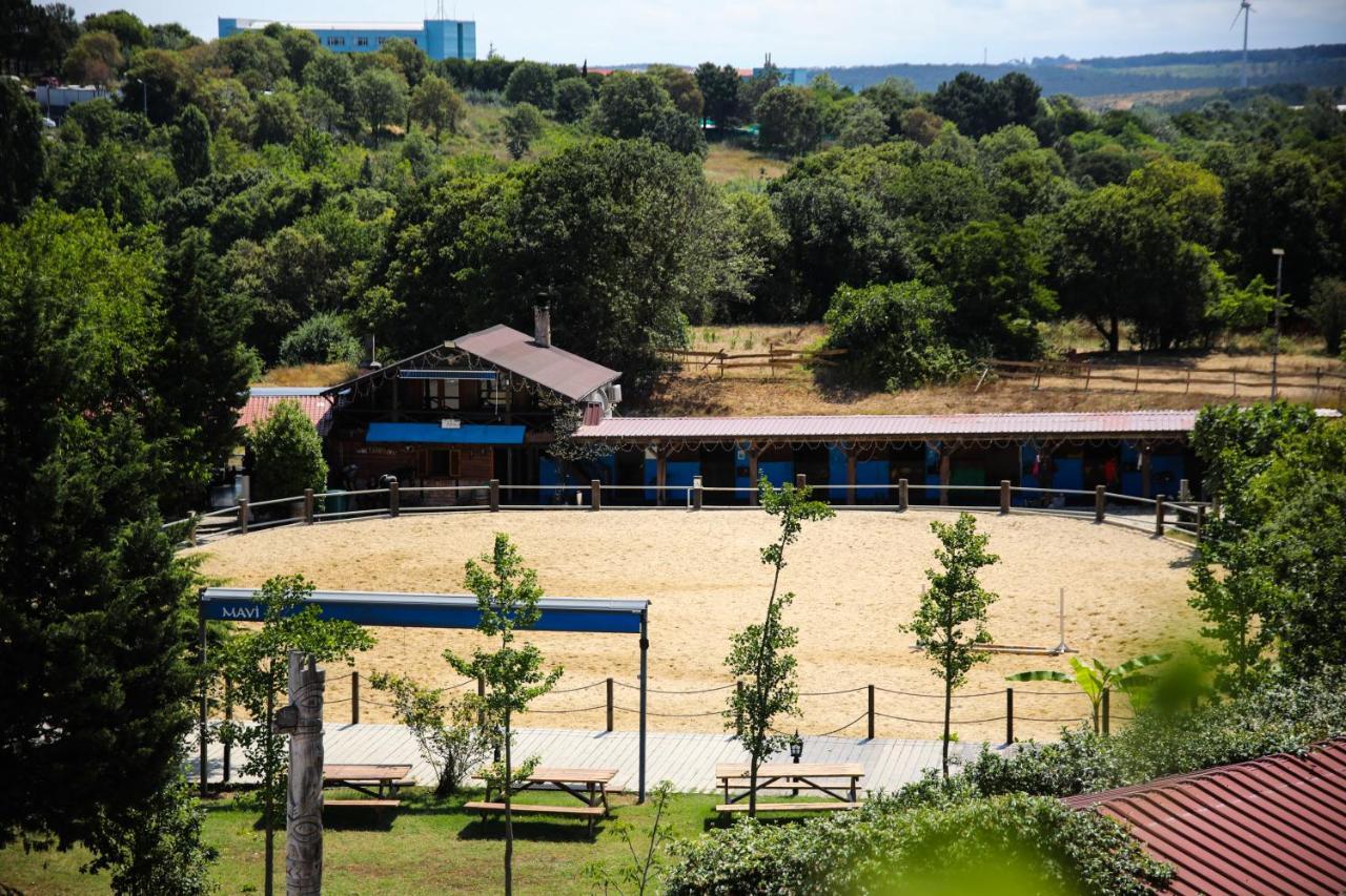 Mavi At Hotel Blue Horse Gumusdere Kültér fotó
