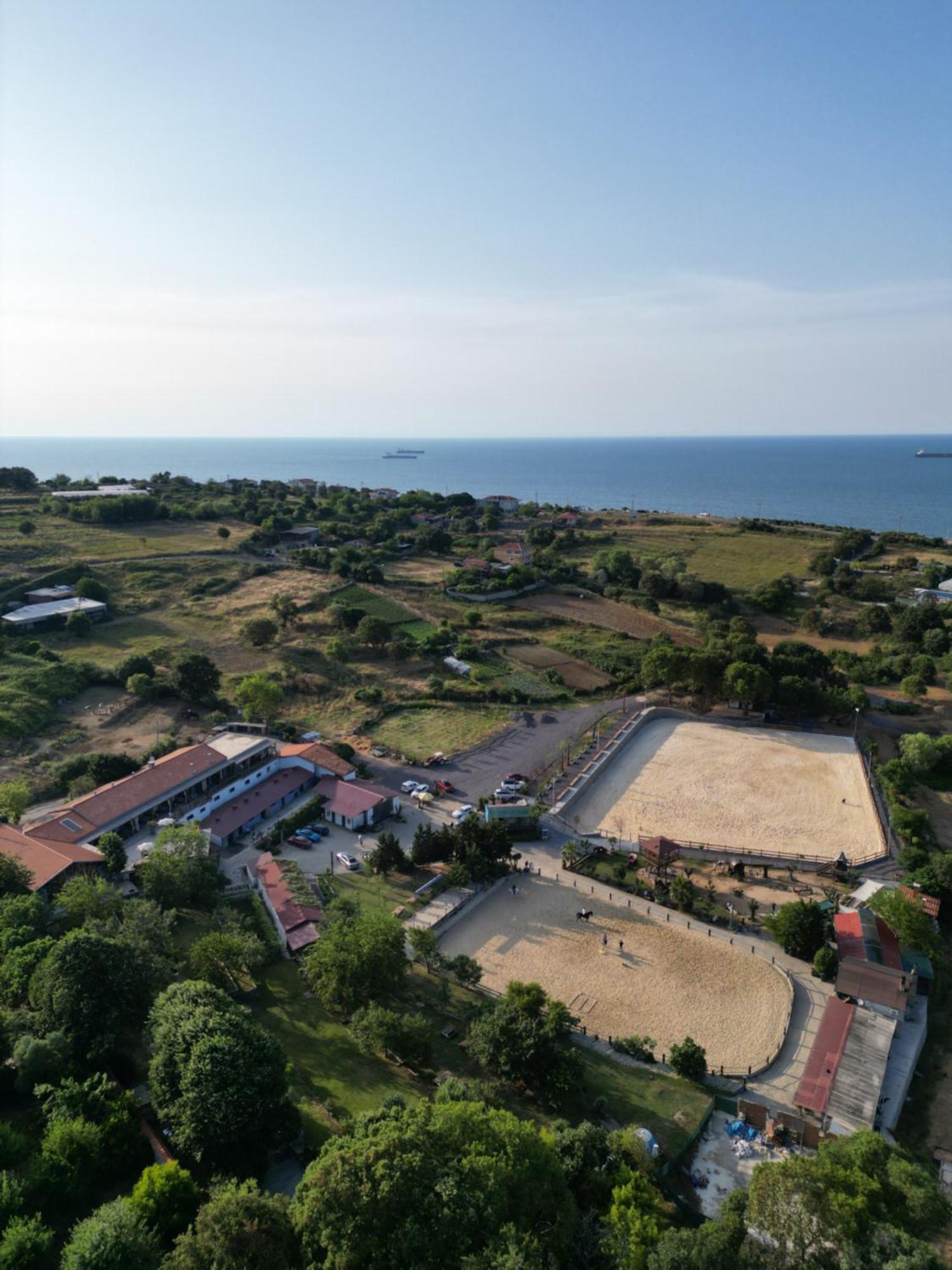 Mavi At Hotel Blue Horse Gumusdere Kültér fotó