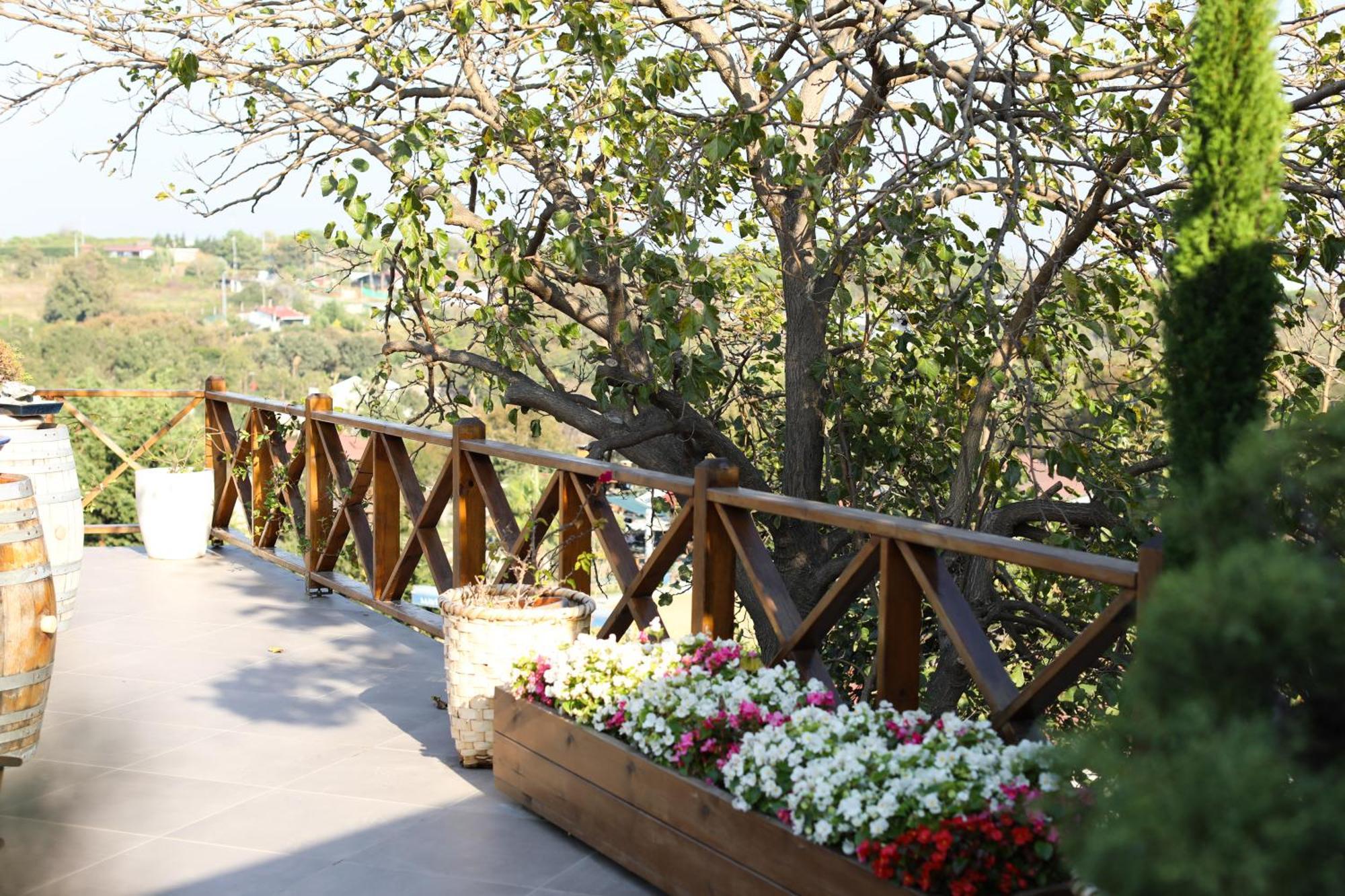 Mavi At Hotel Blue Horse Gumusdere Kültér fotó