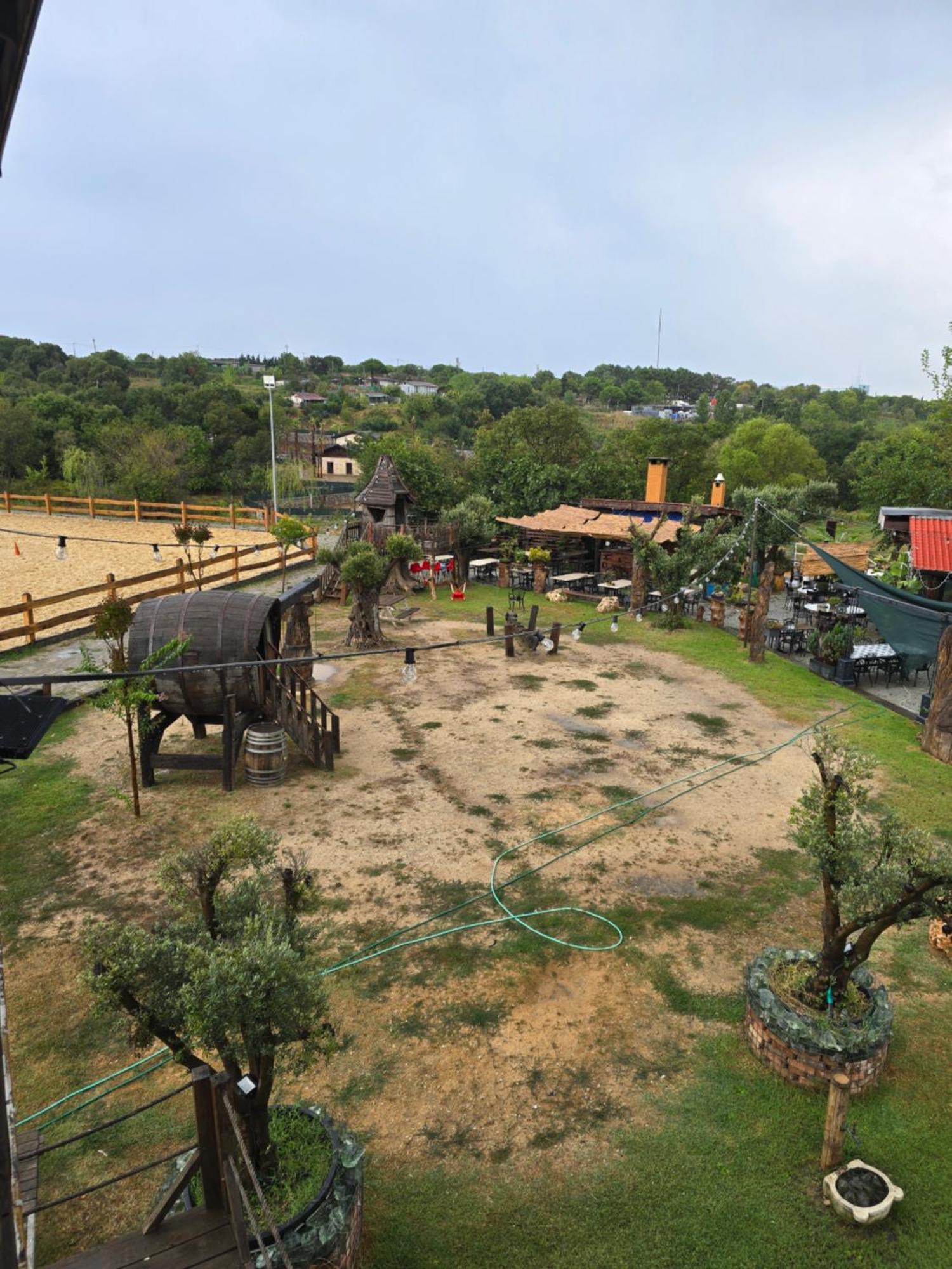 Mavi At Hotel Blue Horse Gumusdere Kültér fotó